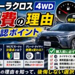 5599e603 3b9d 4b7e 81db a31998612110
